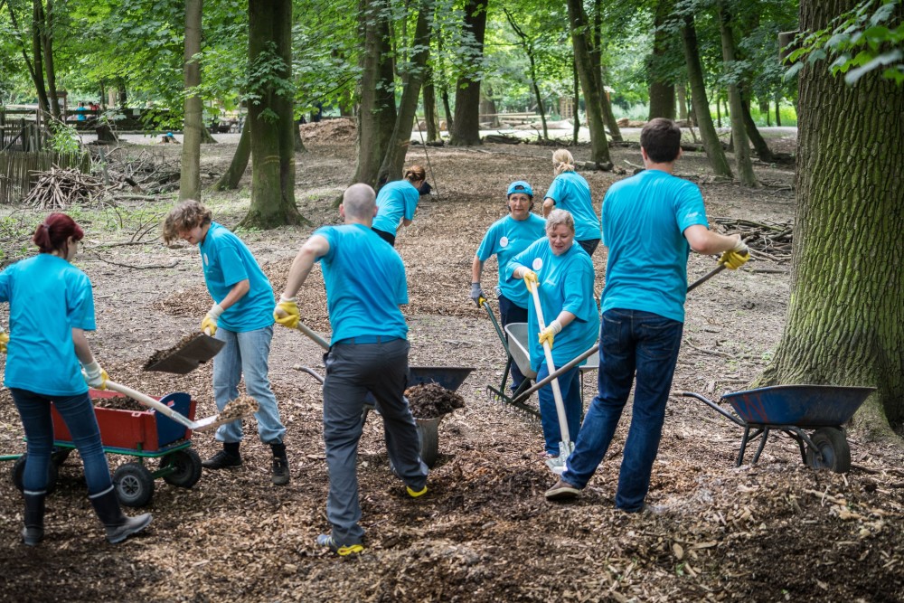 Die AbbVie-Kollegen packten kräftig für die Erneuerung des Wildparks an. (Foto: AbbVie)