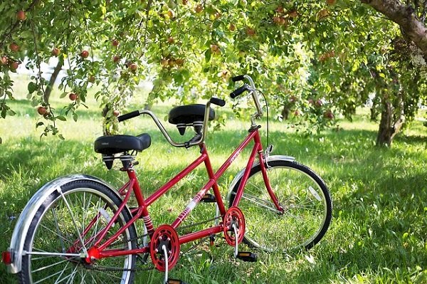 Platz für zwei ist auf einem Tandem-Bike. Um vorwärtzukommen, muss man gemeinsam in die Pedale treten (Foto: Mark Ili, pexels, CC0).