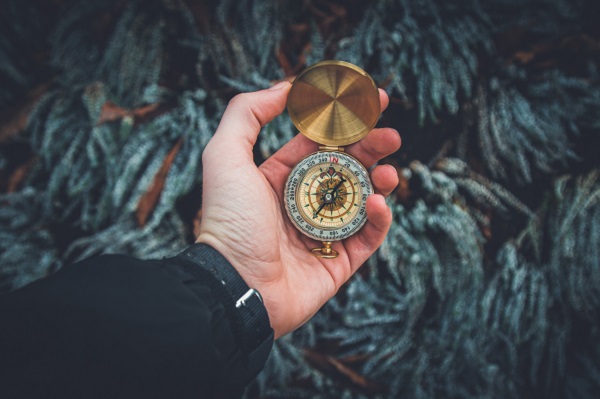 Azubis im Wald, fragt einer: „Seid ihr sicher, dass ihr in die richtige Richtung lauft?“ Gute Frage. (Foto: Valentin Antonucci von Pexels, CC0)