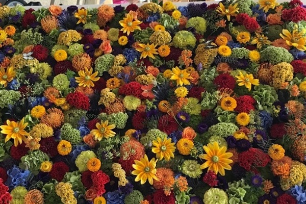 Ein Blumenmeer - dies ist eine Impression der Messe, die Sarah beucht hat. (Foto: SA)