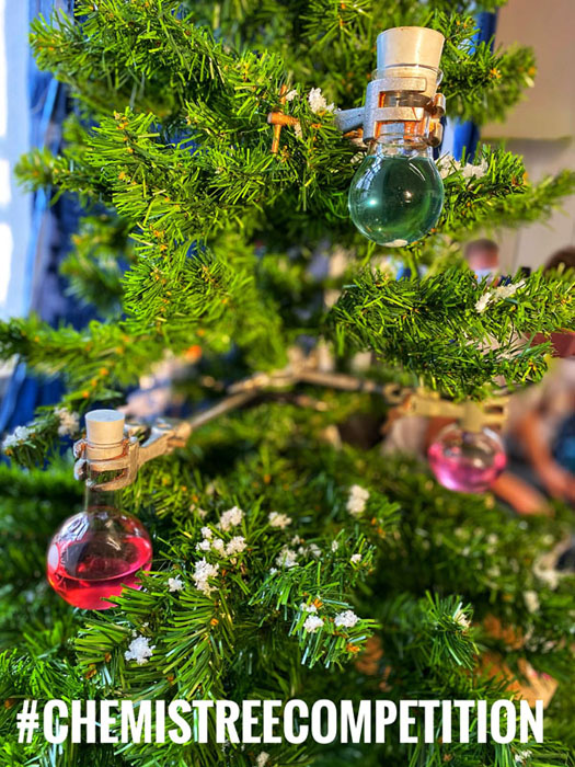 Die 10a2 des Regino-Gymnasium aus Prüm mit Chemie-Lehrerin Lisa. Die „Kolbenkreation“ basiert auf Rotkohlindikator und Haushaltsprodukten. Der Kunstschnee ist ein selbst hergestelltes Polymer aus Adipinsäure und Glycerin.