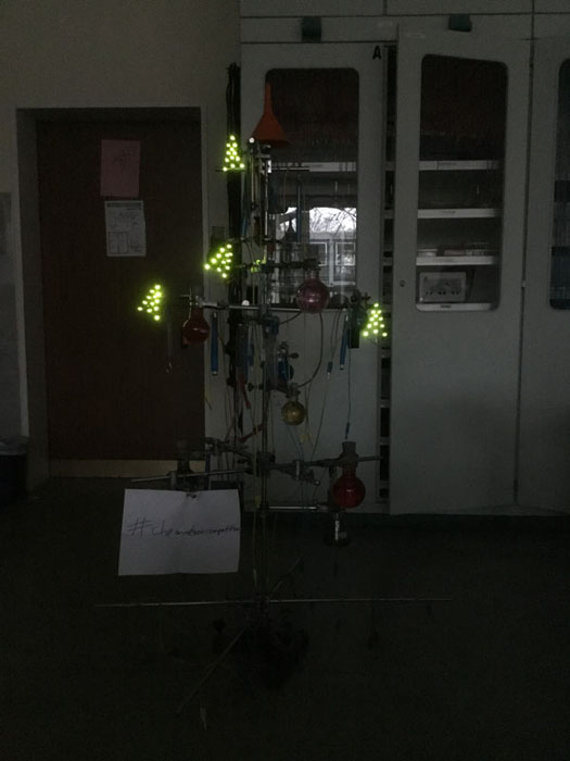 Die MINT-AG (Jahrgang 5 und 6) des Teletta-Groß-Gymnasiums in Leer hat mit LEDs gearbeitet: sie haben sie in mehreren Mini-Trees angeordnet.